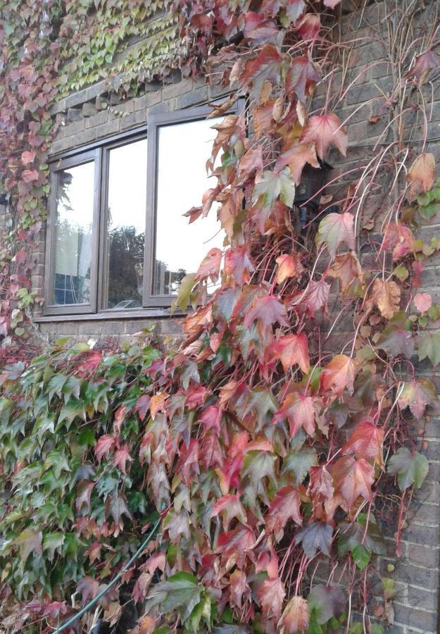 Woodpeckers Cottage B&B Pett Exterior photo