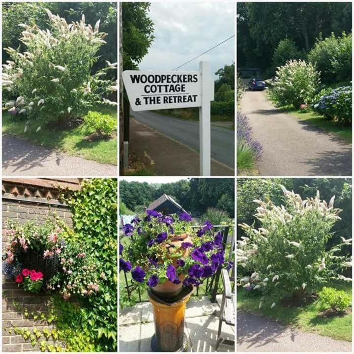 Woodpeckers Cottage B&B Pett Exterior photo